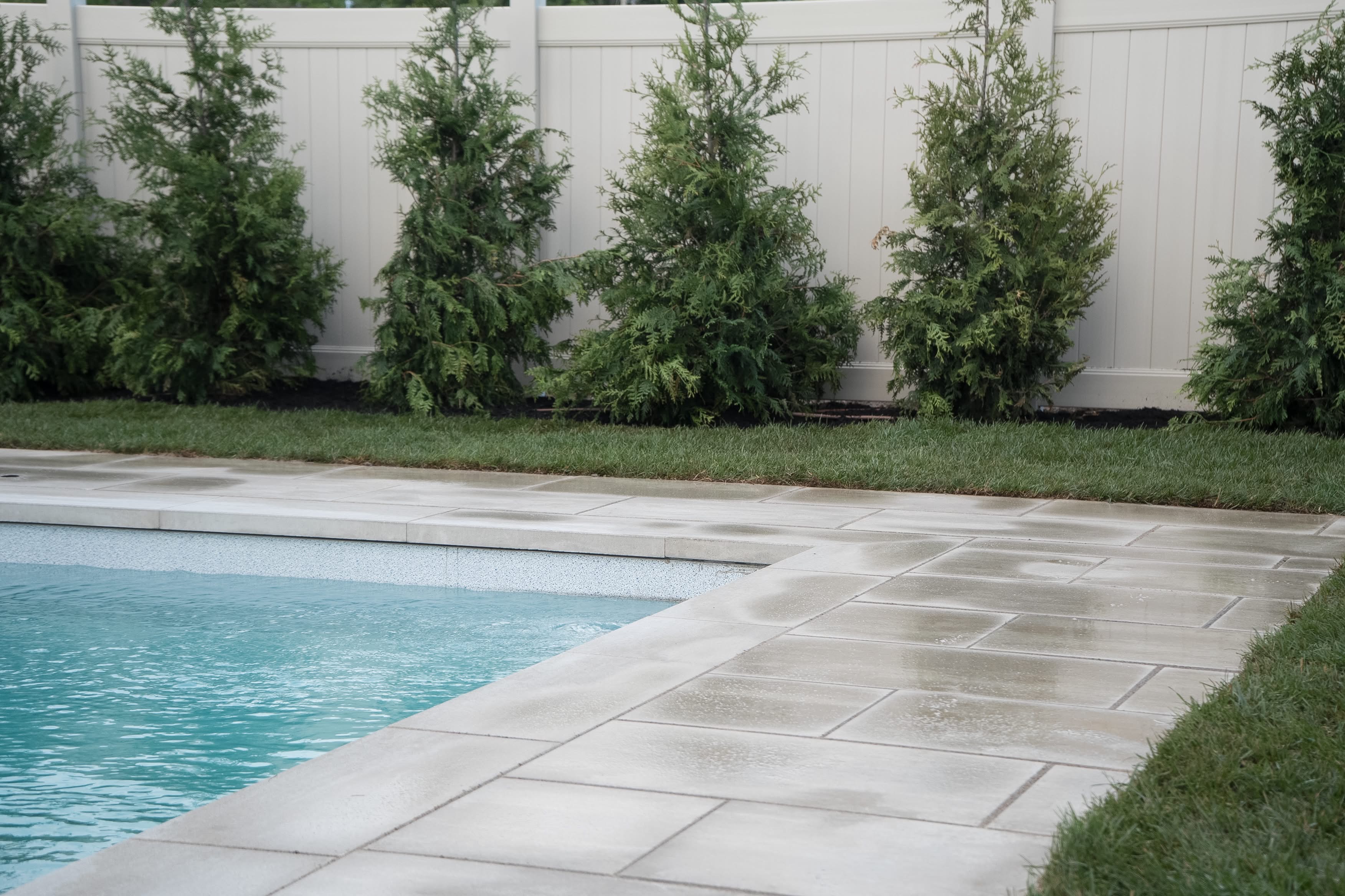 Pool & arborvitae privacy