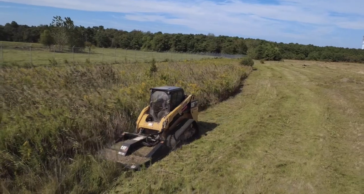 Land Clearing