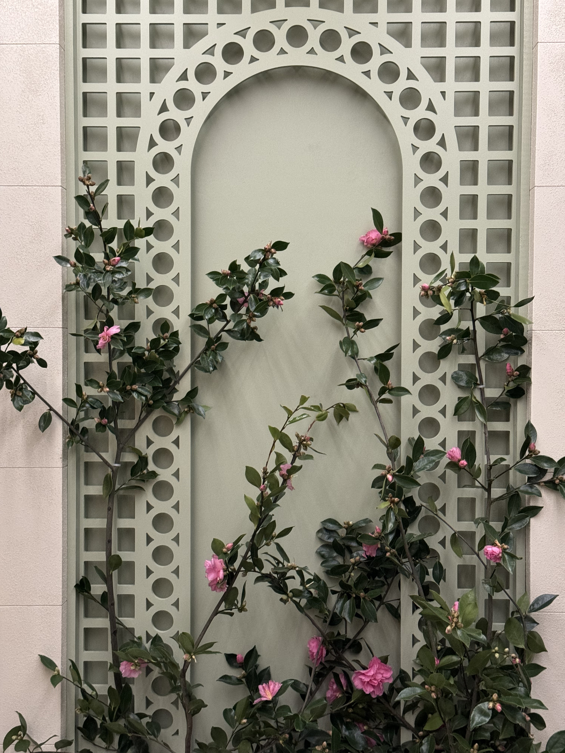 The Sukkah Project